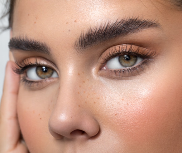 Lashes and Brows